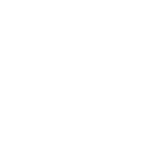BOLLFILTER Protection System